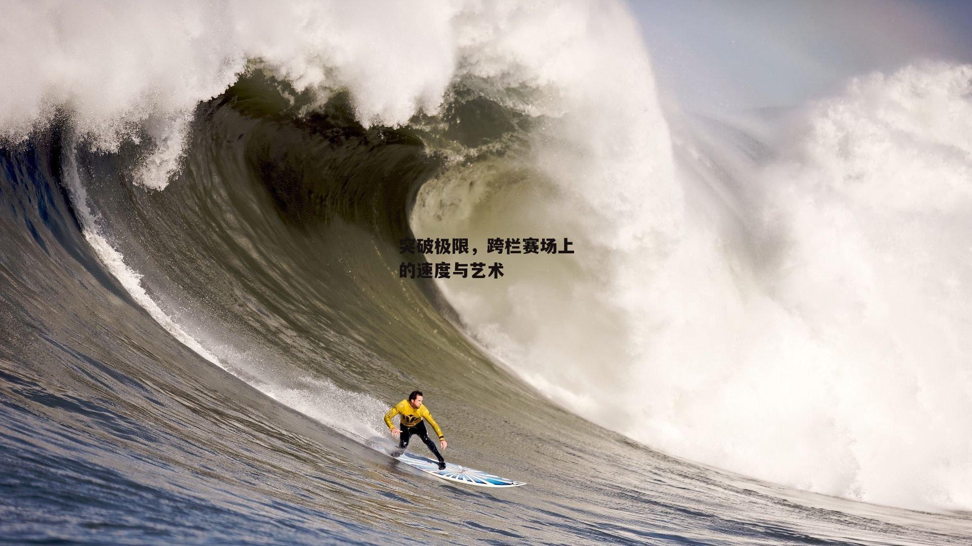 突破极限，跨栏赛场上的速度与艺术